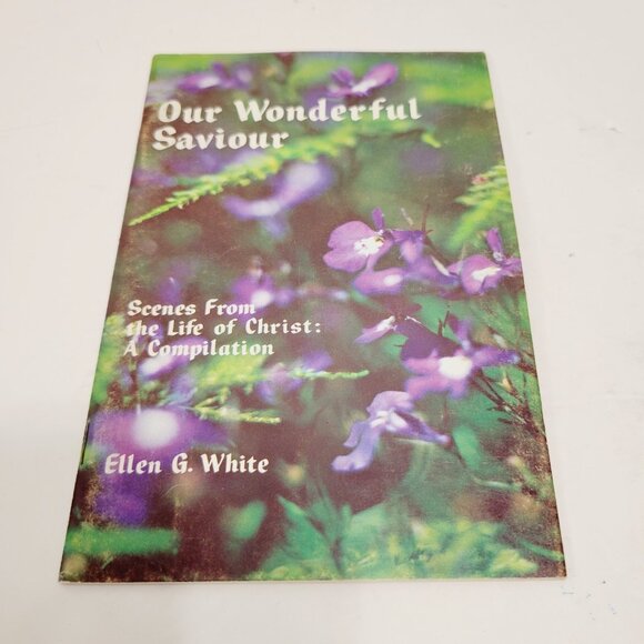 4 Vtg Ellen G. White Paperback Books Other Angel Daily Living Savior Conflict - Picture 8 of 10